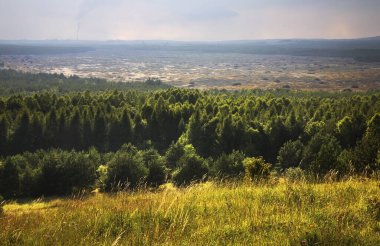 Klucze yakınlarındaki Bledow Çölü. Polonya