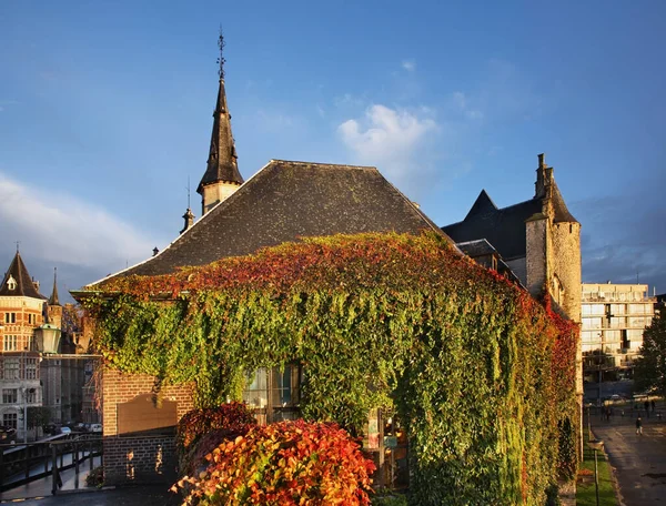 Antwerp Teki Het Steen Belçika — Stok fotoğraf