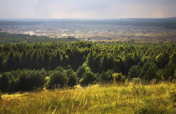 Klucze yakınlarındaki Bledow Çölü. Polonya