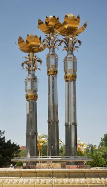 Elista 'daki Kalmykia Cumhuriyeti hükümet binasının önündeki üç nilüfer. Kalmykia Cumhuriyeti. Rusya