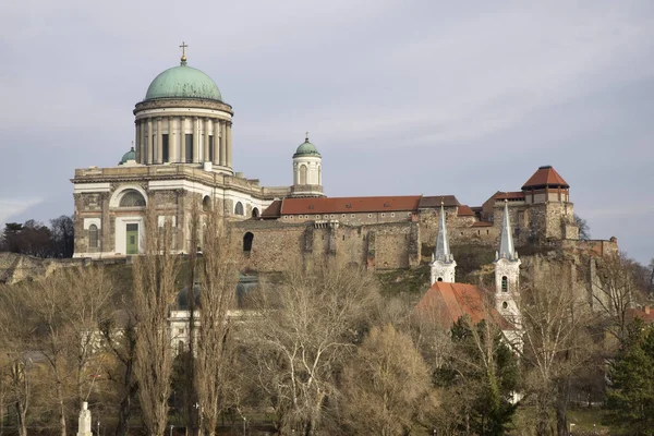 Primatial Basilika Jungfru Maria Och Adalbert Esztergom Katedralen Kungliga Slottet — Stockfoto