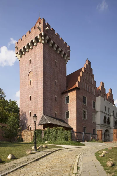 Poznan Daki Kraliyet Kalesi Polonya — Stok fotoğraf