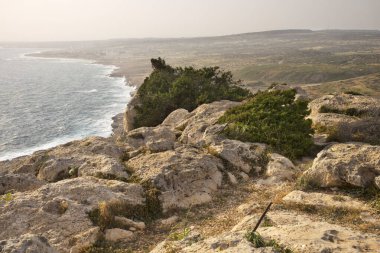 Ayia Napa yakınlarındaki Cape Greco Ulusal Orman Parkı. Kıbrıs