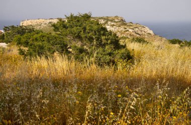 Ayia Napa yakınlarındaki Cape Greco Ulusal Orman Parkı. Kıbrıs