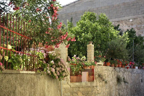 Vista Orgosolo Cerdeña Italia — Foto de Stock