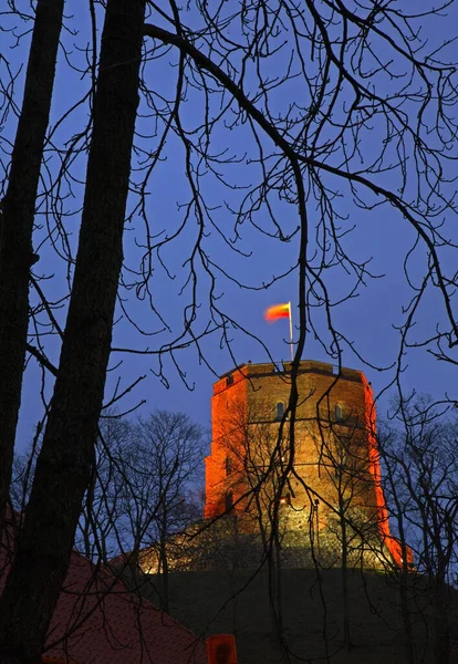 Věž Gediminas Vilniusu Litva — Stock fotografie