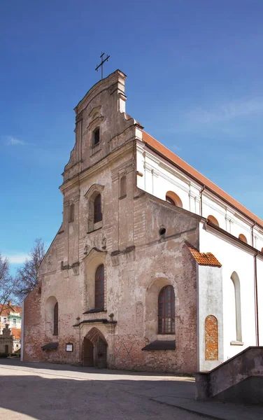 Kerk Van Hemelvaart Van Heilige Maagd Maria Vilnius Litouwen — Stockfoto