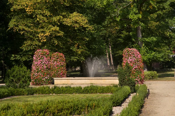 Parque Przypalacowy Zary Polónia — Fotografia de Stock