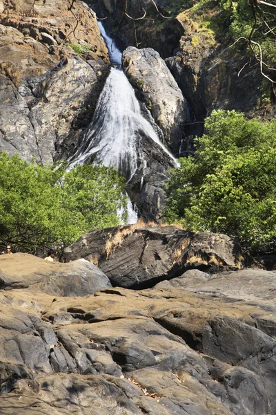 Karnataka 'da şelale. Hindistan — Stok fotoğraf