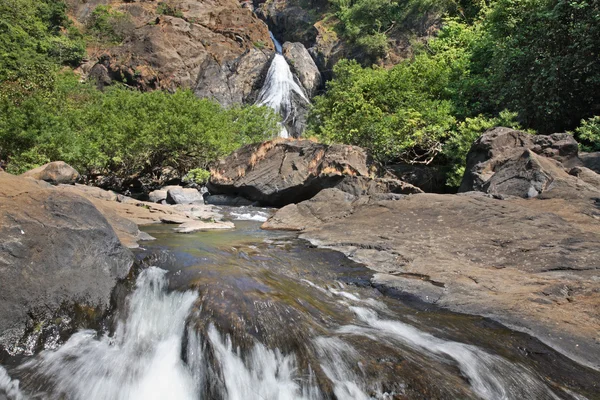 Cascada de Dudhsagar en Karnataka. India —  Fotos de Stock