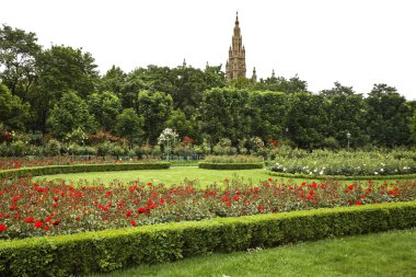 Viyana 'daki Volksgarten (Halk Bahçesi). Avusturya