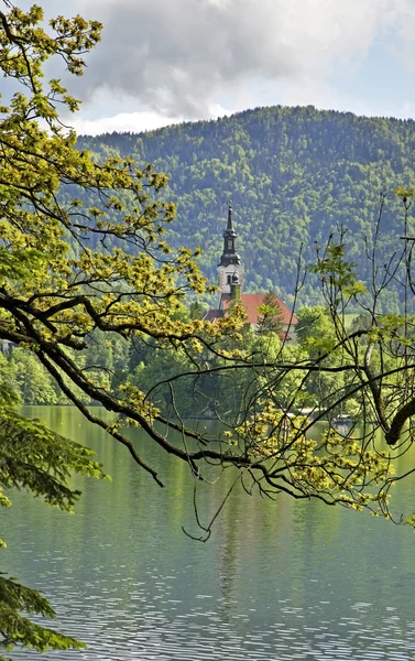 Sjön bled. Slovenien — Stockfoto