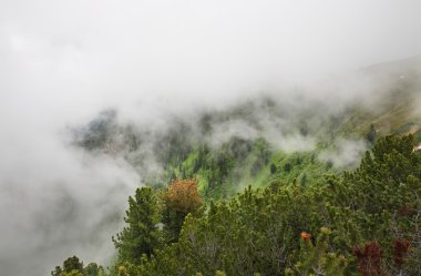 Mayrhofen yakınlarında Alpler. Tirol. Avusturya