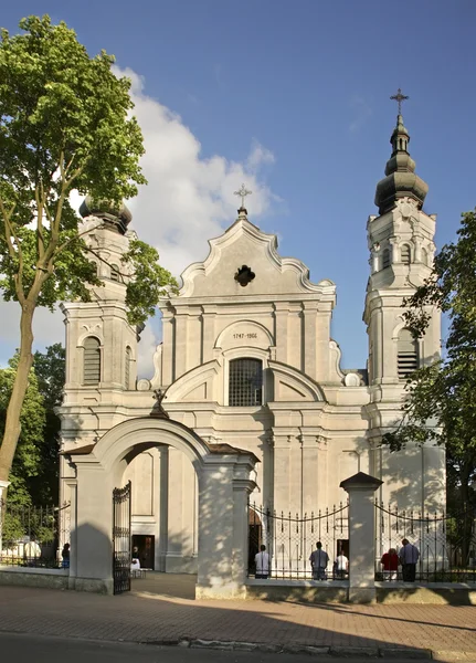 Kerk van de Geboorte van de Maagd Maria in Biala Podlaska. Polen — Stockfoto