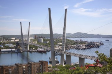 Golden Bridge in Vladivostok. Russia clipart