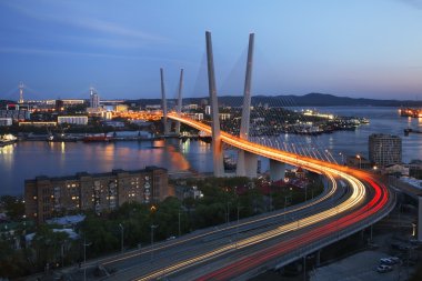 Golden Bridge in Vladivostok. Russia clipart