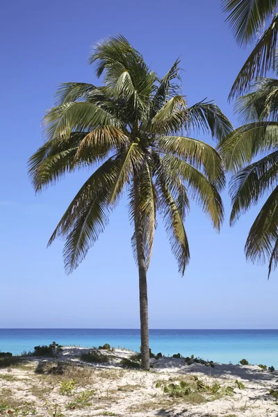 Straits of Florida in Varadero. Cuba — Stock Photo, Image