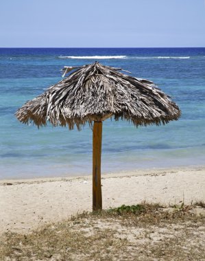 Rancho Luna 'da plaj. Karayip Denizi. Atlantik Okyanusu