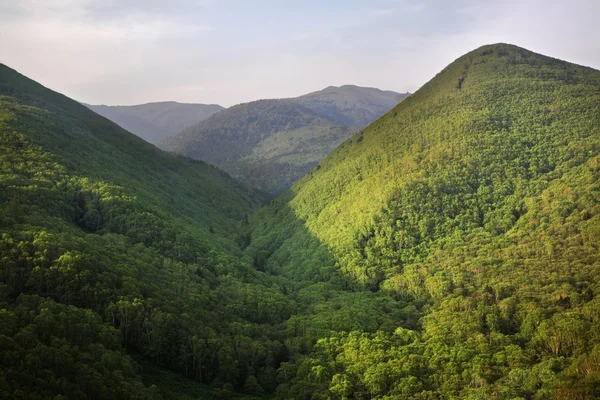 Montagne près de Vestochka. Russie — Photo