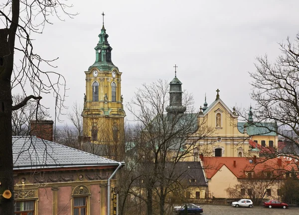 Bazylika katedralna w Przemyślu. Polska — Zdjęcie stockowe
