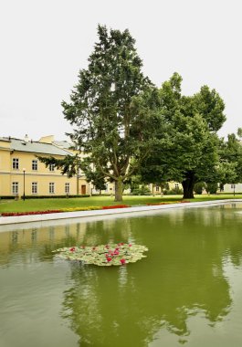Pulawy 'deki Czartoryski Sarayı. Polonya