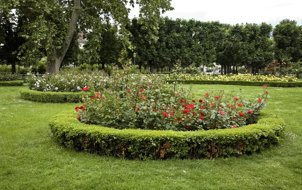 Volksgarten (Jardim do Povo) em Viena. Áustria — Fotografia de Stock