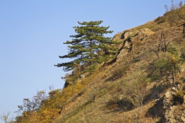 Dağları yakınında. Gevgelija. Sonbahar. Makedonya