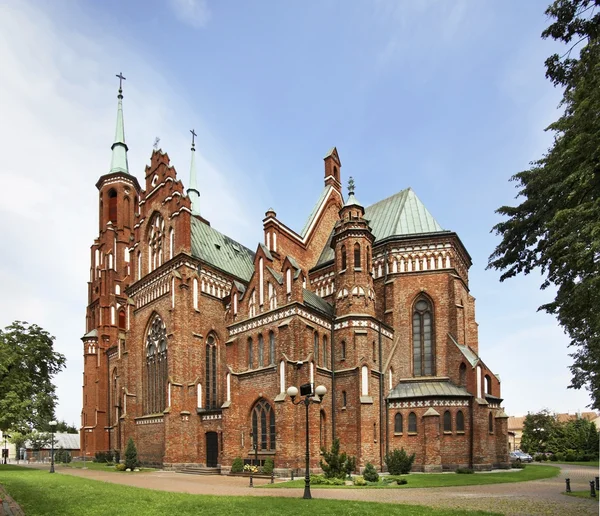 Kathedraal van de Onbevlekte Ontvangenis van de Heilige Maagd Maria in Siedlce. Polen — Stockfoto