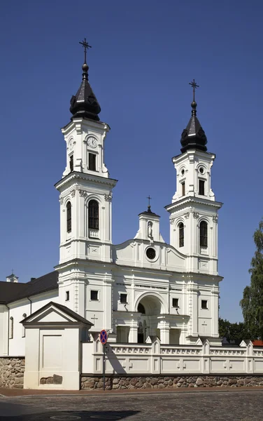 Bazilica Sfântul Mihail din Marijampole. Lituania — Fotografie, imagine de stoc