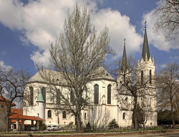 St. Rokus kerk in Szeged. Hongarije — Stockfoto