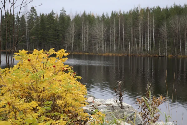 Ruokosalmi lake in Lomarantala. Tahko. Finland — Stock Photo, Image