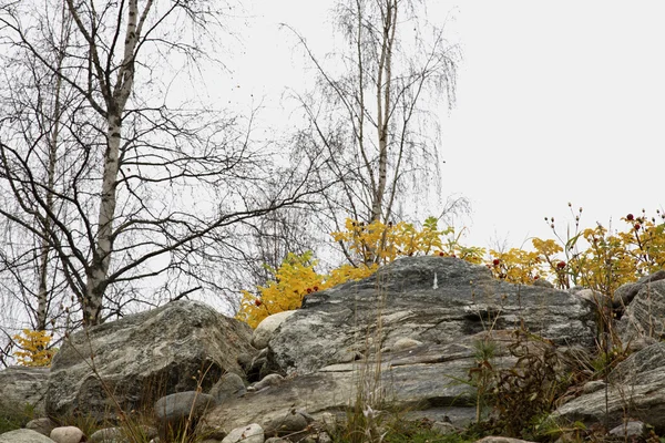Paisaje cerca de Lomarantala. Tahko. Finlandia — Foto de Stock