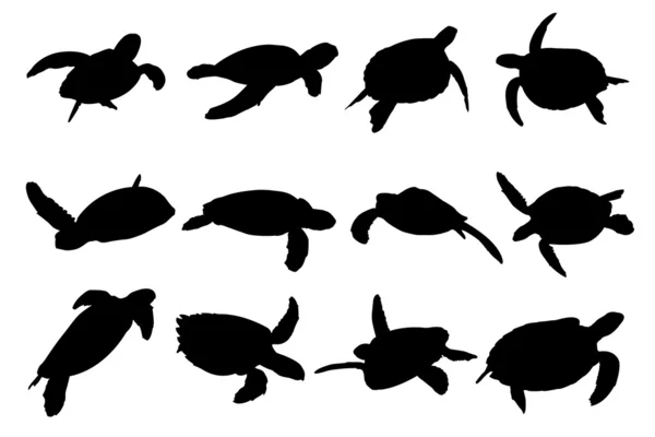 Schildkrötenvektorsilhouetten lizenzfreie Stockillustrationen