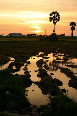 Akşam önce günbatımı kırsal Tayland