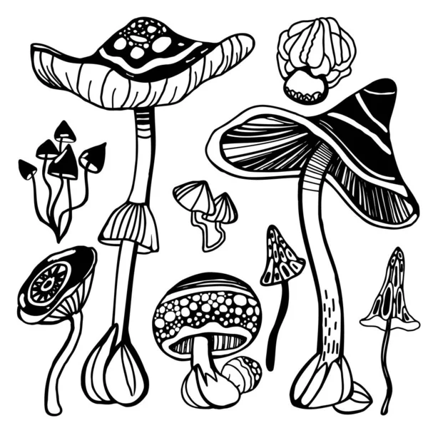 Набір стилізованих магічних психоделічних грибів. Розмальовка галюциногенні, фанатичні гриби. Чорно-біла ізольована Векторні ілюстрації . — стоковий вектор