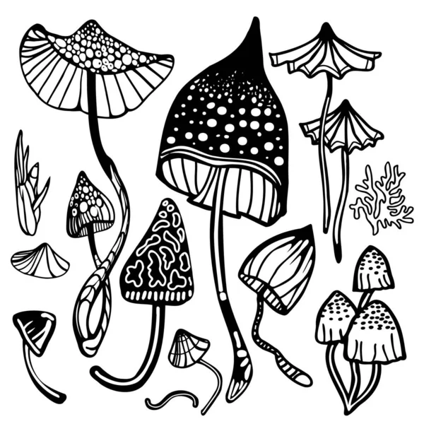 Набір магічних психоделічних грибів. Розмальовка галюциногенні, фанатичні гриби. Чорно-біла ізольована Векторні ілюстрації . — стоковий вектор