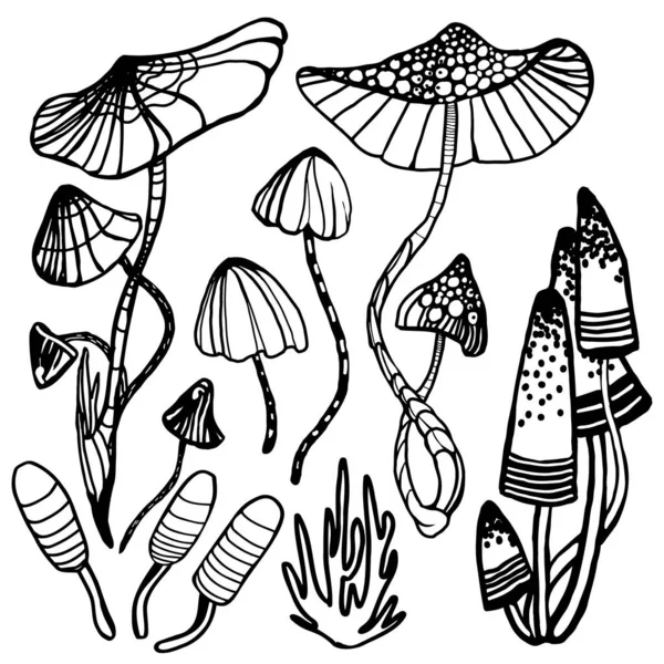 Set von verschiedenen exotischen und magischen psychedelischen Pilzen. Malvorlagen halluzinogene, phantasievolle Pilze. Schwarz-weiß isolierte Vektorillustration. — Stockvektor