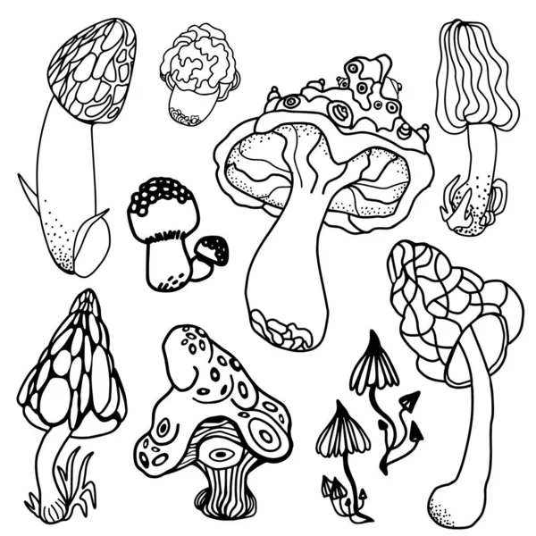 Набір стилізованих психоделічних грибів. Розмальовка галюциногенні, фанатичні, магічні гриби. Чорно-біла ізольована Векторні ілюстрації . — стоковий вектор