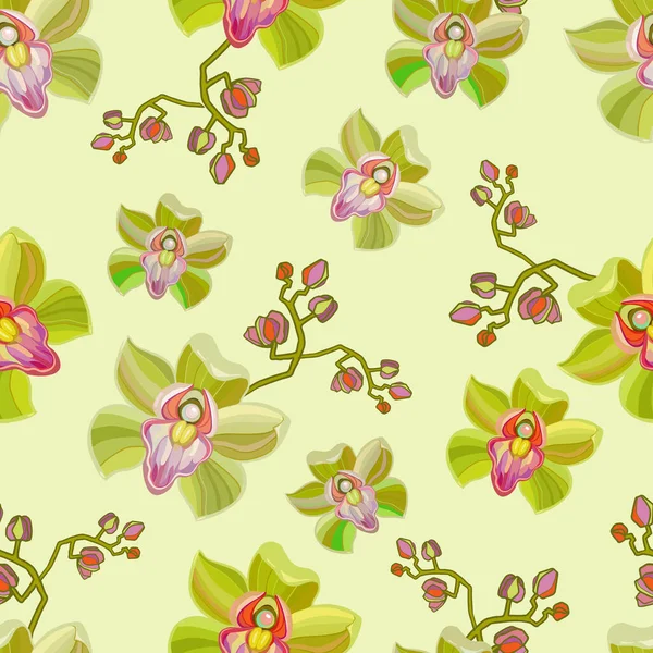 Orquídeas Patrón Sin Costura Para Papel Envolver Papel Pintado Ilustración — Vector de stock