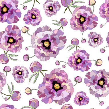 Zarif, dikişsiz şakayık, beyaz arka planda güller. Klasik tasarım için çiçek deseni çizilmiş. İzole vektör illüstrasyonu.