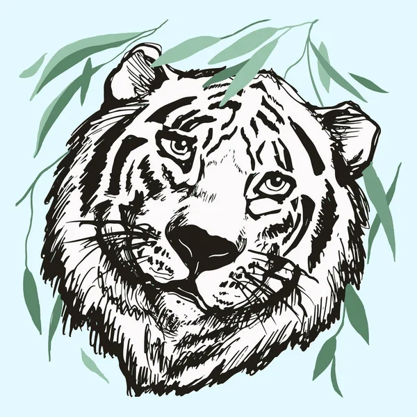 Tiger Head White Isolated Background Derawn Black Contour Line Art — Image vectorielle