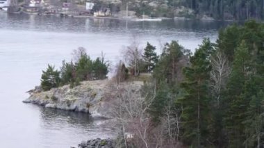 Baltık Denizi adada ormanda çevresinde kamera hareketi