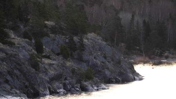 Movimiento de cámara alrededor del bosque en la isla en el mar báltico — Vídeos de Stock