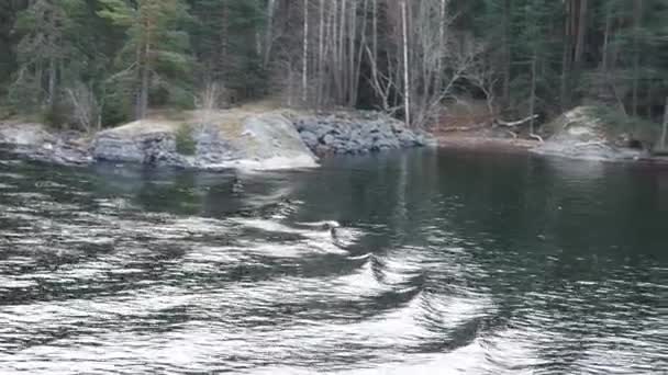 Små vågor på Östersjön nära islands — Stockvideo