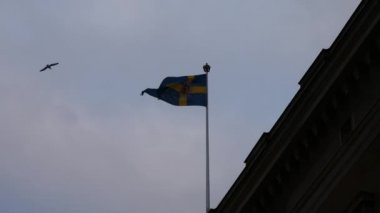 Gustav Adolfs Meydanı ve Stockholm İsveç bandıralı binasında