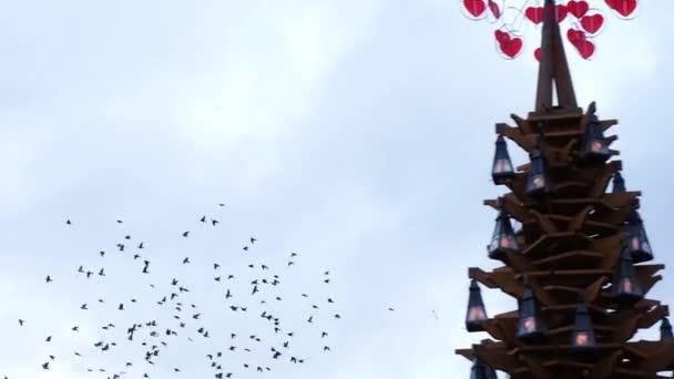 Molti uccelli volanti sotto il mercato di Natale a Rigas Old Town, Lettonia — Video Stock