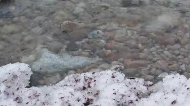 Spiaggia invernale con neve e ghiaccio nel Mar Baltico — Video Stock