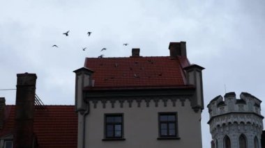 Evin çatı, riga Letonya uçan kuşlar