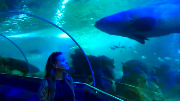 Белая женщина, идущая в аквариумном туннеле и глядящая сквозь стекло на большую рыбу — стоковое видео