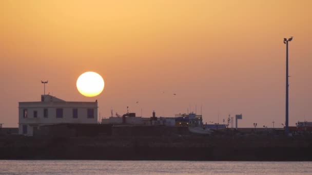 Pequeno porto marítimo local de Essaouira ao nascer do sol em Marrocos — Vídeo de Stock